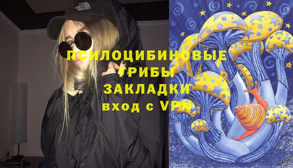 СК Арсеньев