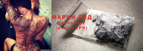 СК Арсеньев