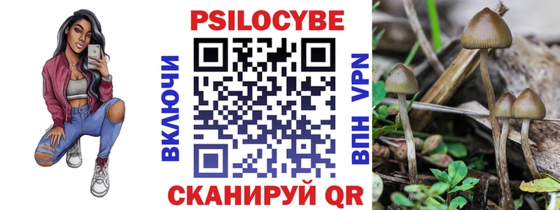 Галлюциногенные грибы Psilocybe  купить наркотик  Малая Вишера 